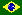 Gnotus Brazil